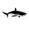 Great White Shark Carcharodon Carcharias White Shark or White Pointer Side View Retro Woodcut Black and White