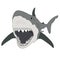 Great White Shark illustration, shark jaws