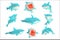 Great White Shark Marine Fish Living In Warm Sea Waters Realistic Cartoon Character Vector Set Of Different Views