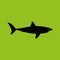 Great White Shark, Side View. Silhouette - Vector