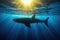 great white shark silhouette against sunlit ocean surface