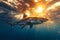 A great white shark swims underwater at sunset in the ocean