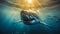 Great white shark underwater filming. Shark swims on camera under sun's rays below surface of water. Rows of sharp