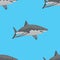 Great white sharks. Seamless Pattern. Vector illustration