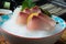 Greater Amberjack Kanpachi Sashimi sushi