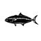 Greater Amberjack Seriola Dumerili Medregal Coronado Allied Kingfish Greater Yellowtail Mascot