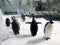 Greater Bay China Zhuhai Hengqin Chimelong King Penguin Hotel Ocean Kingdom Emperor Penguins Walking Circus Sea World Theme Park