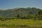 Greater Caucasus Mountains, Georgia, Samegrelo, views of smaller peaks in early summer