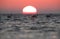 Greater Flamingos and dramatic sunrise at Asker coast of Bahrain
