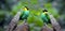 Greater Green leafbirds