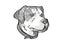 Greater Swiss Mountain Dog Breed Cartoon Retro Drawing