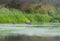 Greater white-fronted goose feeding in a lake