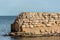 Grec Wall in Platja de Les Muscleres in La Escala behind the ruins of Empuries, in the Province of Giron, Catalonia, Spain.