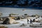 Gredos, Spain. 12-January-2019. Two trekkers walking on the snow towards a frozen lake during a beautiful sunny winter day