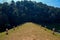 Gree grass .walkway near lake and forest with pole