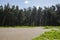 Gree tree Plantation on Velas beach in Raigad district,Maharashtra,India