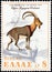GREECE - CIRCA 1970: A stamp printed in Greece shows a Cretan Wild Goat Capra aegagrus cretensis, circa 1970.