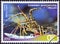 GREECE - CIRCA 2012: A stamp printed in Greece from the `Riches of the Greek Seas` issue shows a Spiny Lobster Palinurus elephas