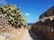 Greece crete cactus village