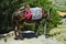 Greece, Crete, Donkey