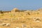 Greece Crete Fort Retinew old ruins on a stony hill with scorched heat grass