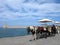 Greece, Crete. Venetian lighthouse and horse with cart in Chania town.