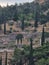 greece delphi appolo temple columns ancient