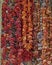 Greece, dried vegetables at the central market