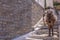 Greece, Kea island. Ioulis city narrow street with stairs and mules donkeys used for goods transport