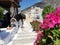 Greece, Kharpathos, Sea, Paradise, Sand, Flower, Plants, details
