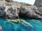 Greece, Kharpathos, Sea, Pardise, Panorama, Stone, Flower, Plants