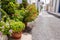 Greece, Kythira island, Chora town. Flower pot at an empty alley side, white house background