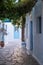 Greece, Melos island, Chora town, Plaka. Blue door plant in amphora, alley Milos Cyclades