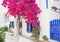 Greece, Paros island, Cyclades, beautiful view of traditional greek house with flowers