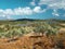 Greece, Rhodes. Wild olive plantations against the backdrop of a lake. Olive