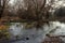 Greece. A source and benches in a sycamore tree forest