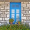 Greece, stone wall house blue window and marigold flowers