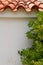 Greece. Wall with olive tree and tiles