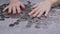 Greedy Female Hands are Stirring a Pile of Scattered Ukrainian Coins on Table