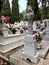 Greek Cemetery, Leros, Greece, Europe