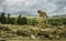 Greek columns in the foreground of famous vacation historic destination of Valley of the temples in Agrigento in Sicily