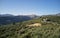 Greek countryside bird\'s-eye view from drone. Church  on  hill  surrounded by olive groves