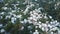 Greek houses on the hillside, aerial view