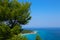 Greek island paradise beach, blue sea and pine tree. Mediterranean sea beach, evergreen pine and blue water, Greece island.