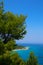 Greek island paradise beach, blue sea and pine tree. Mediterranean sea beach, evergreen pine and blue water, Greece island.