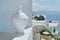 Greek island of Santorini, famous village Oia, closeup white clay amphora