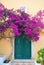 Greek monastery door with flowers