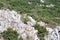 Greek Mountain Rocky Landscape With Coarse Vegetation