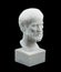 Greek philosopher Aristotle sculpture