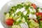 Greek Salad in White Bowl, Macro Photo of Fresh Garden Salat, Salad with Green Onion, Feta, Tomatoes Closeup